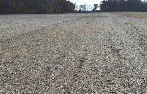 Property photo 18 - 75.3 Acres Offered in 2 Tracts